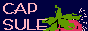 CAPSULE
